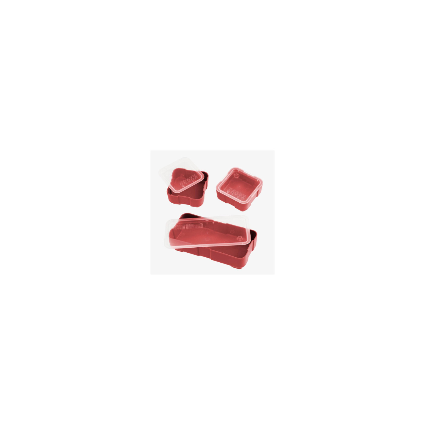 MPIMAG1389-RED_1_HR