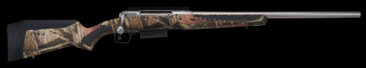 SV57381